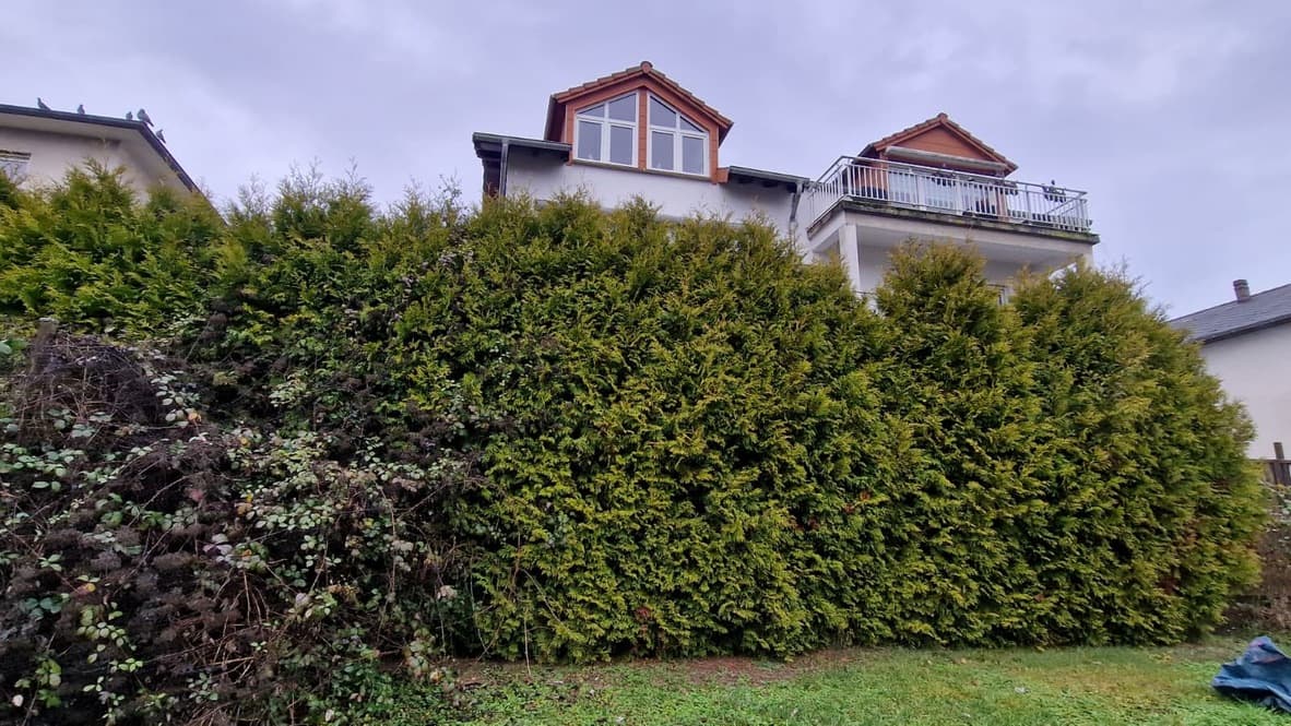 Neuanlage einer Rasenfläche mit Beetgestaltung