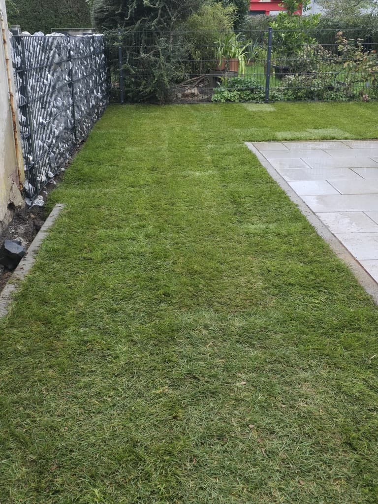 Gartengestaltung mit Pflasterarbeiten und Bepflanzung