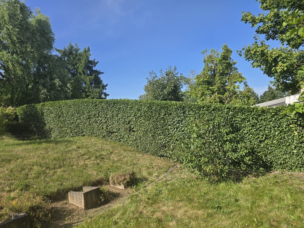 Komplette Gartenumgestaltung mit Rollrasen