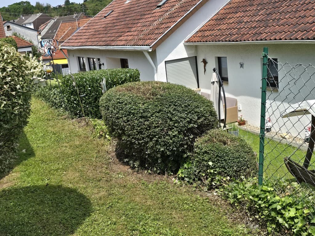 Einfahrt neu gepflastert mit modernem Design